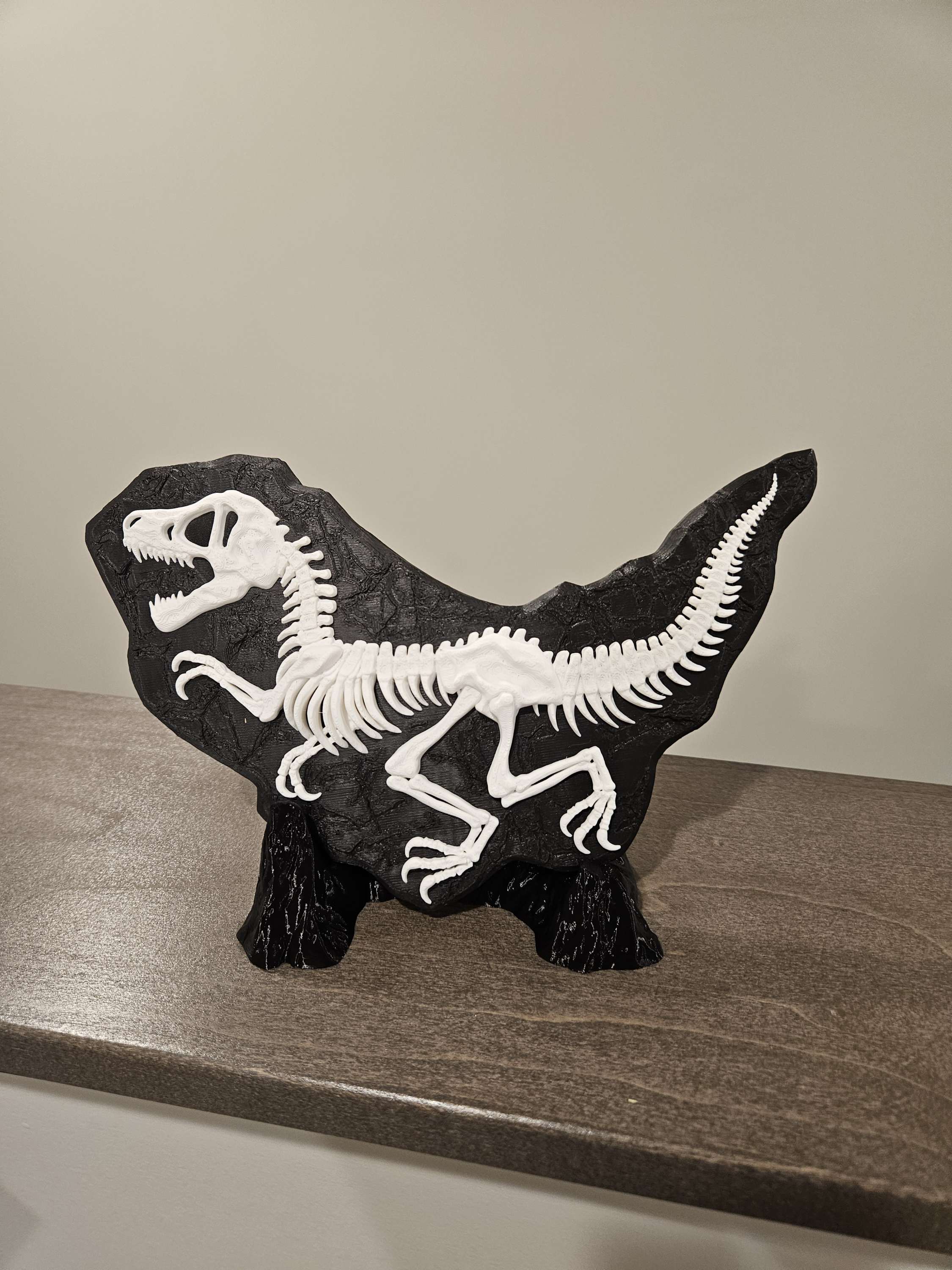Dino Evidence image 1