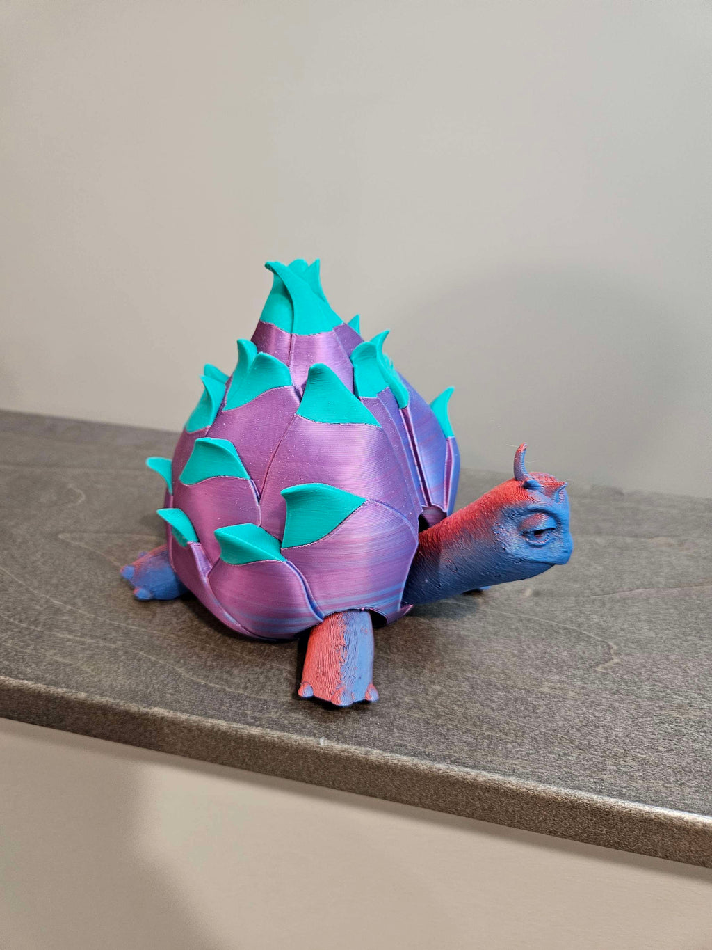 Turtle fruit  image 1
