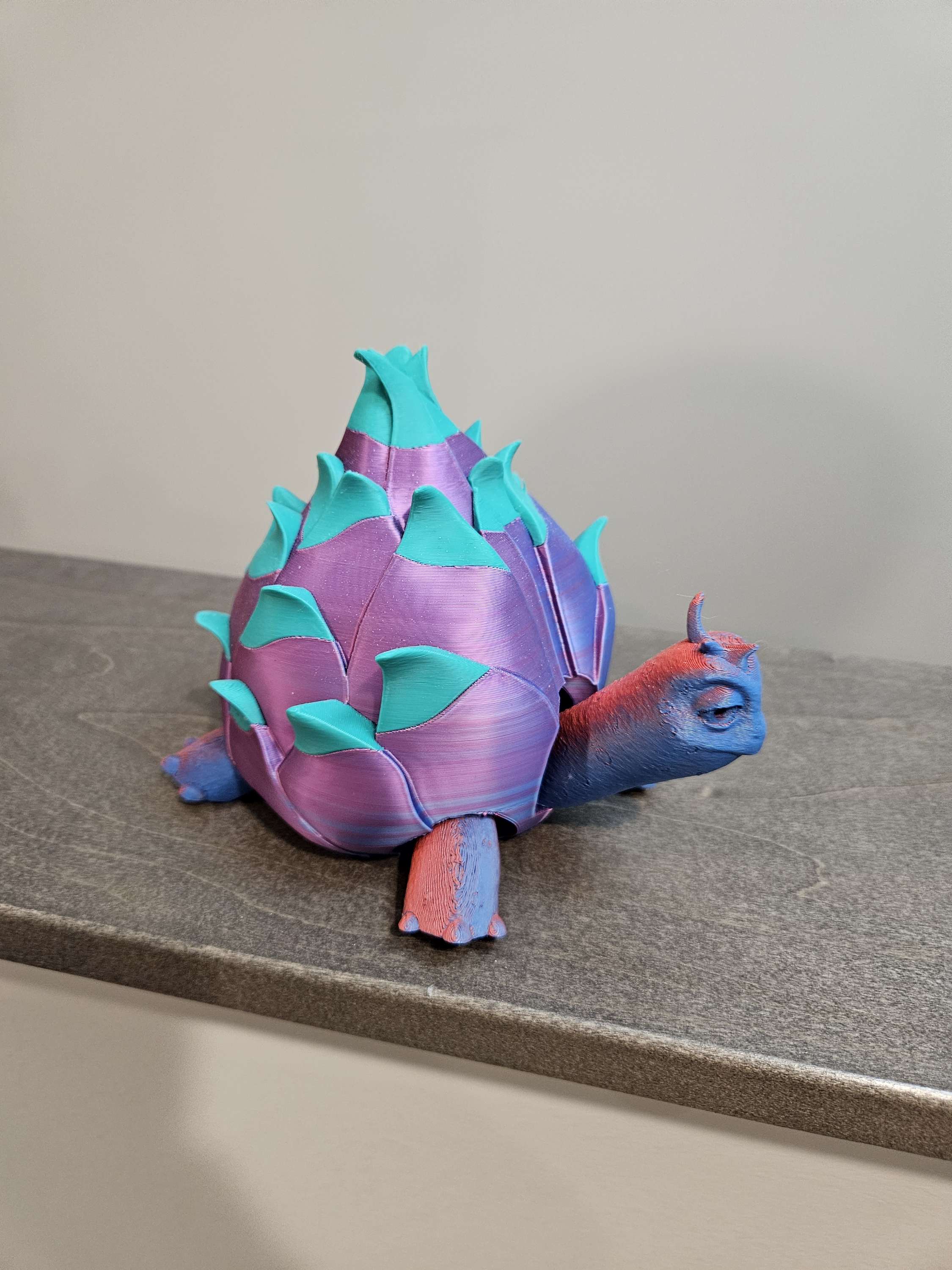 Turtle fruit  image 1