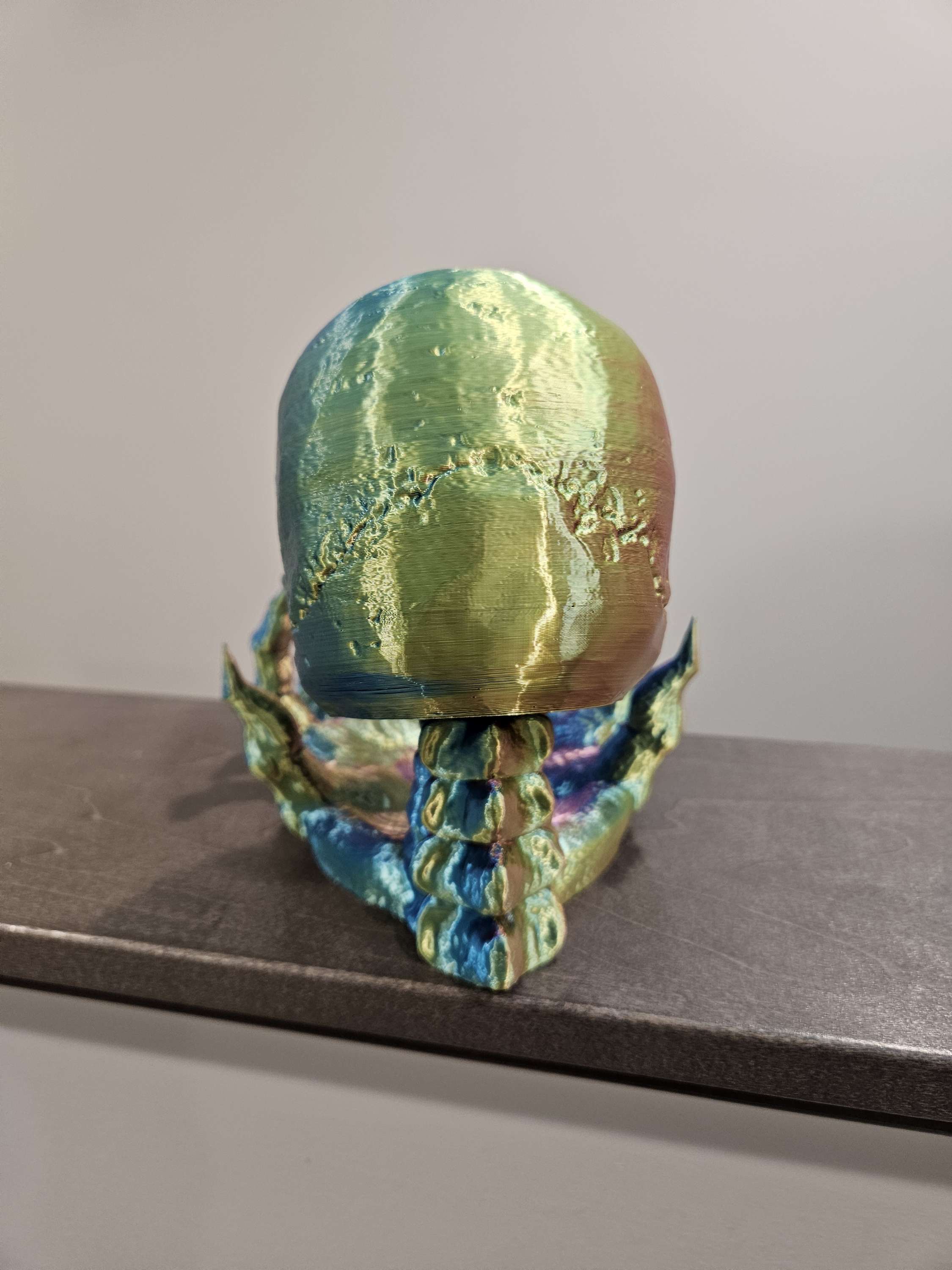 Phantom skull image 2