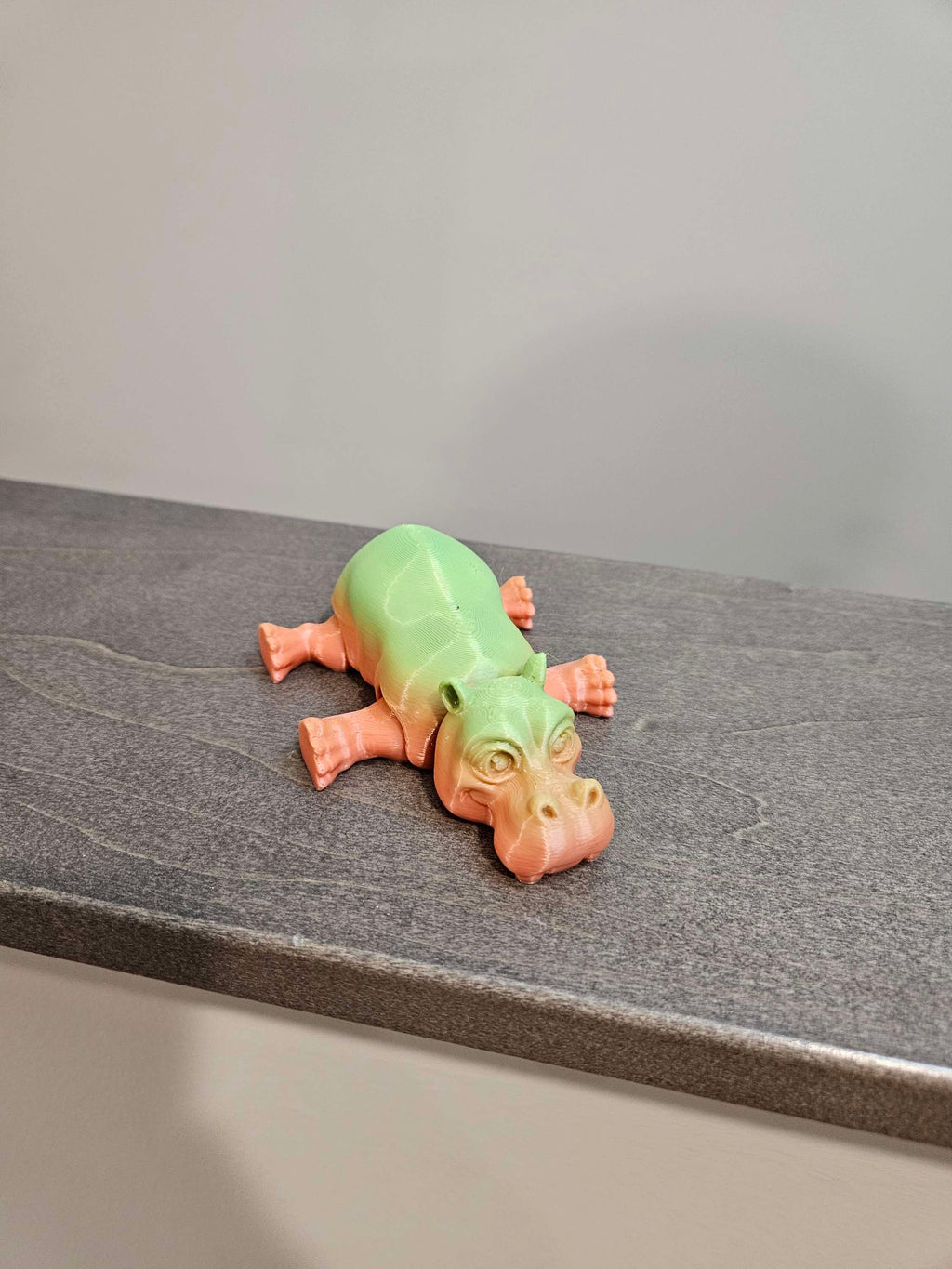 Hippo  image 1
