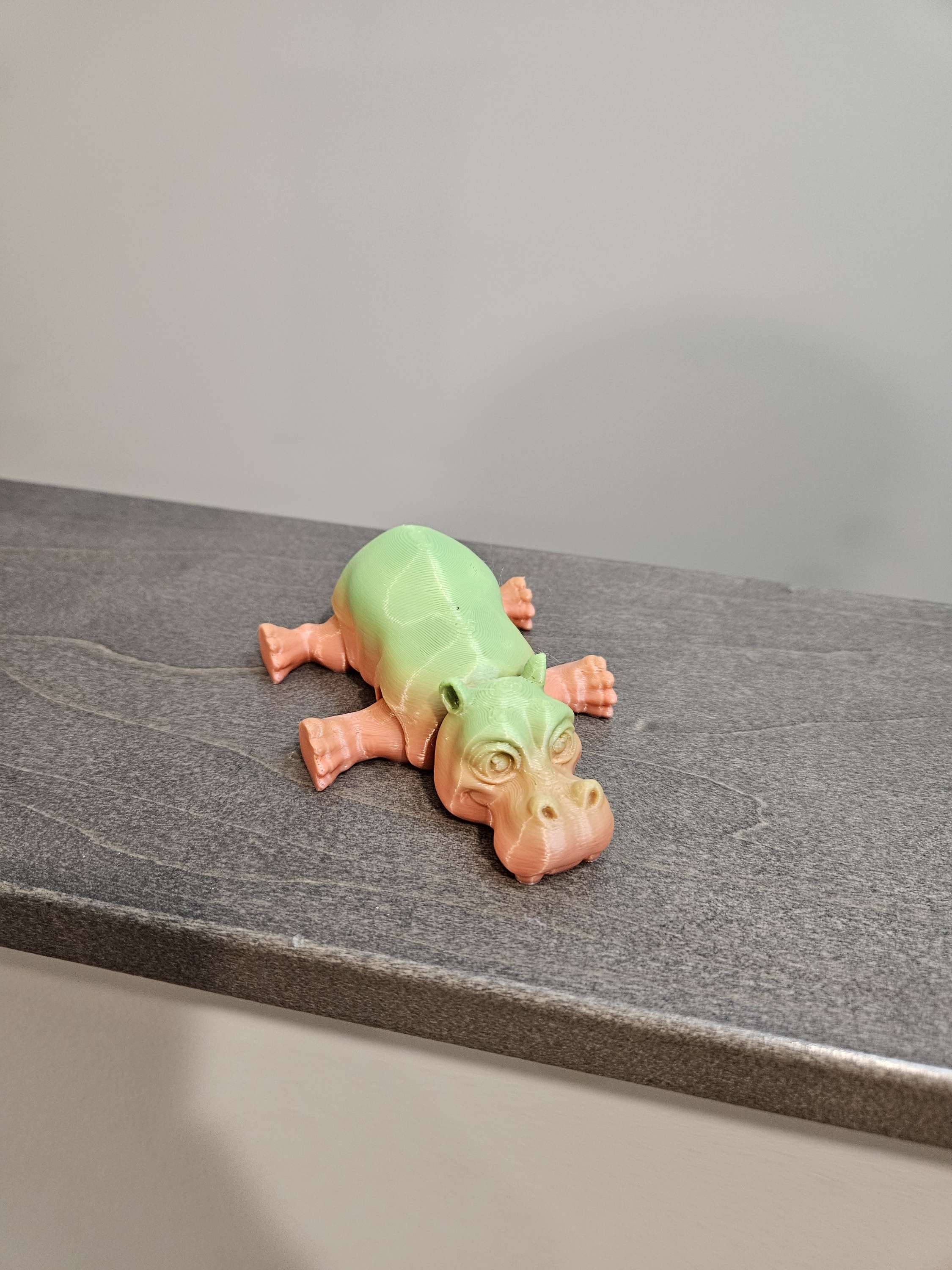 Hippo  image 1