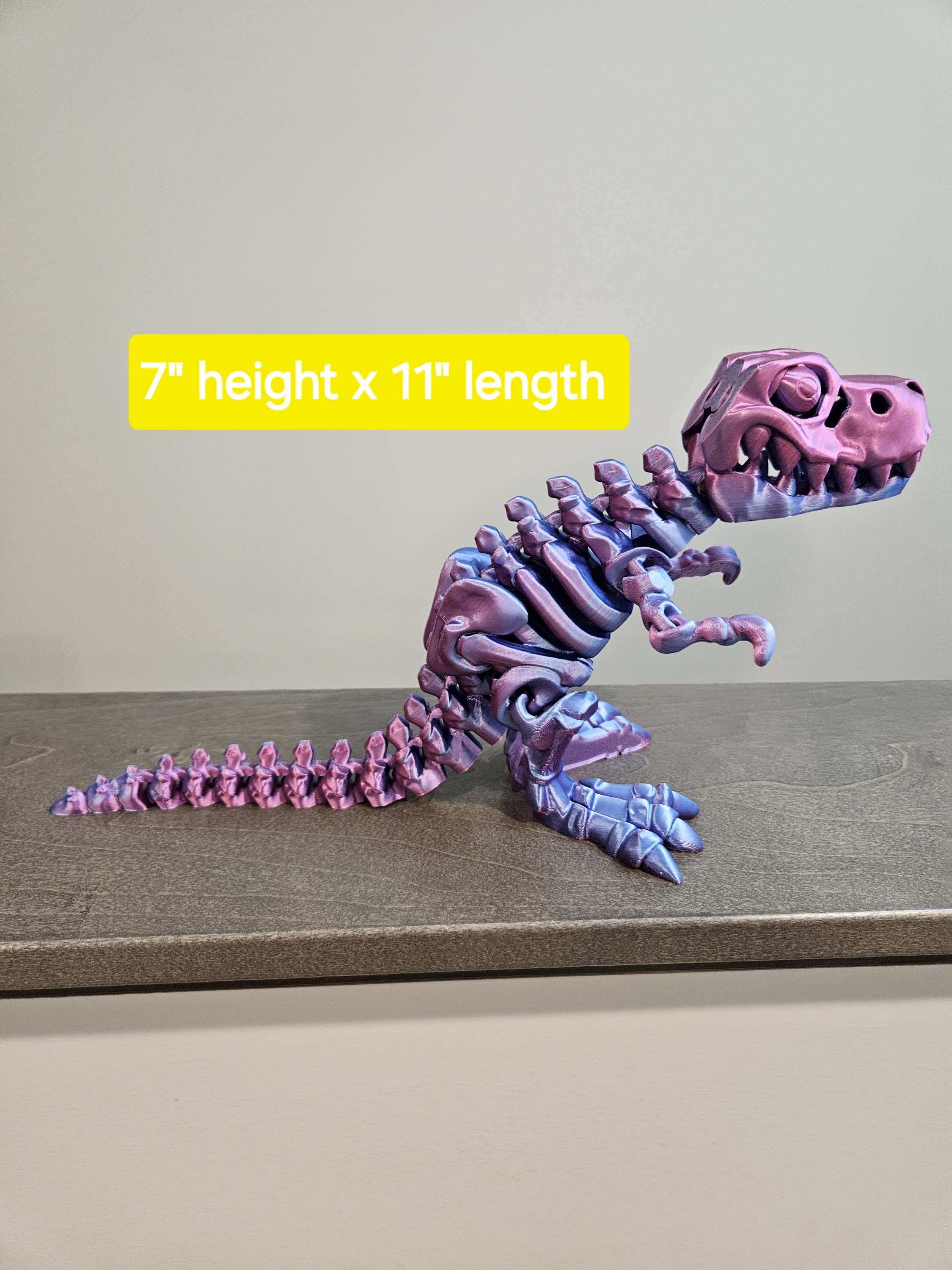 T rex skeleton large size image 3