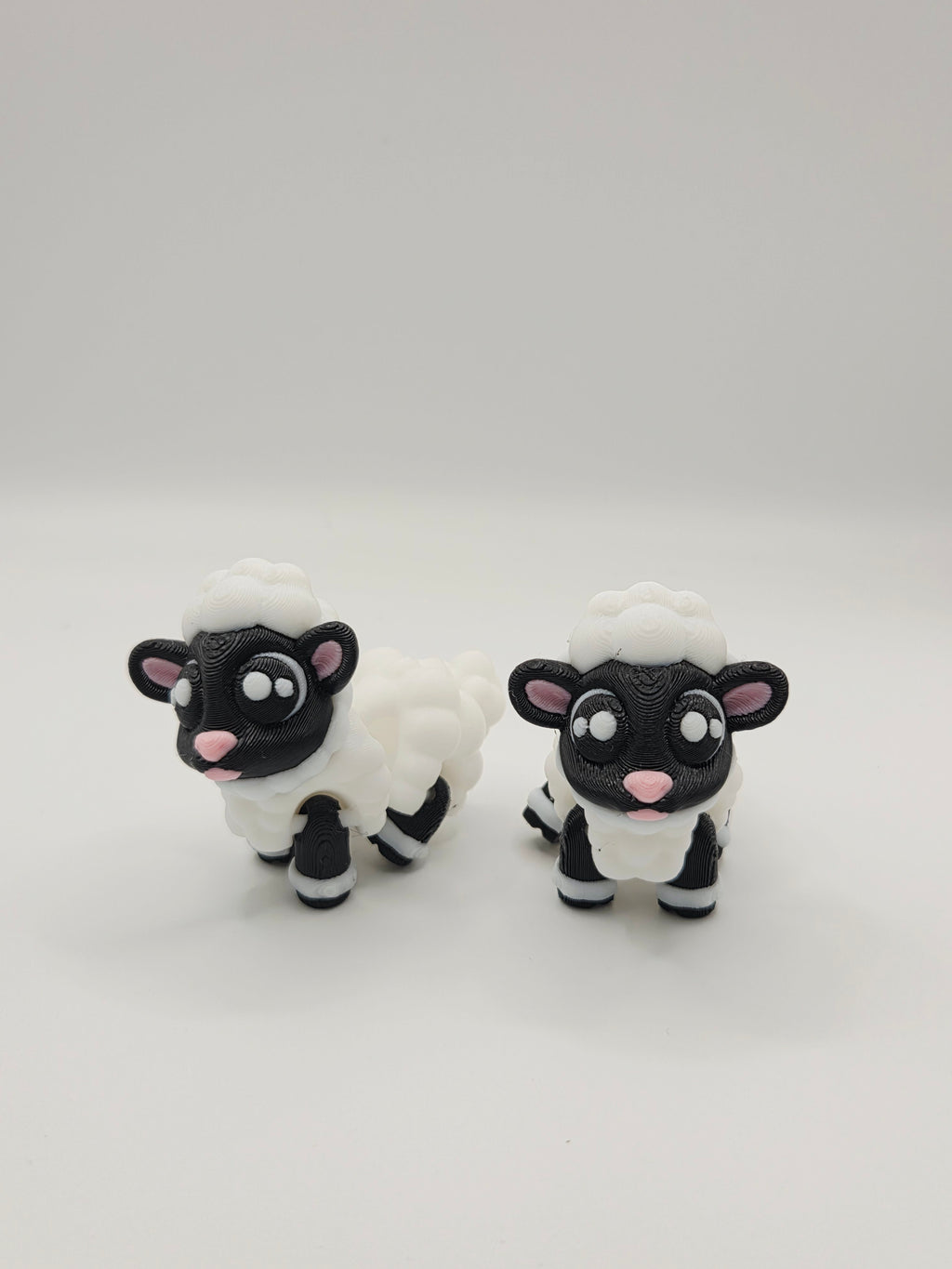 Mini Sheep