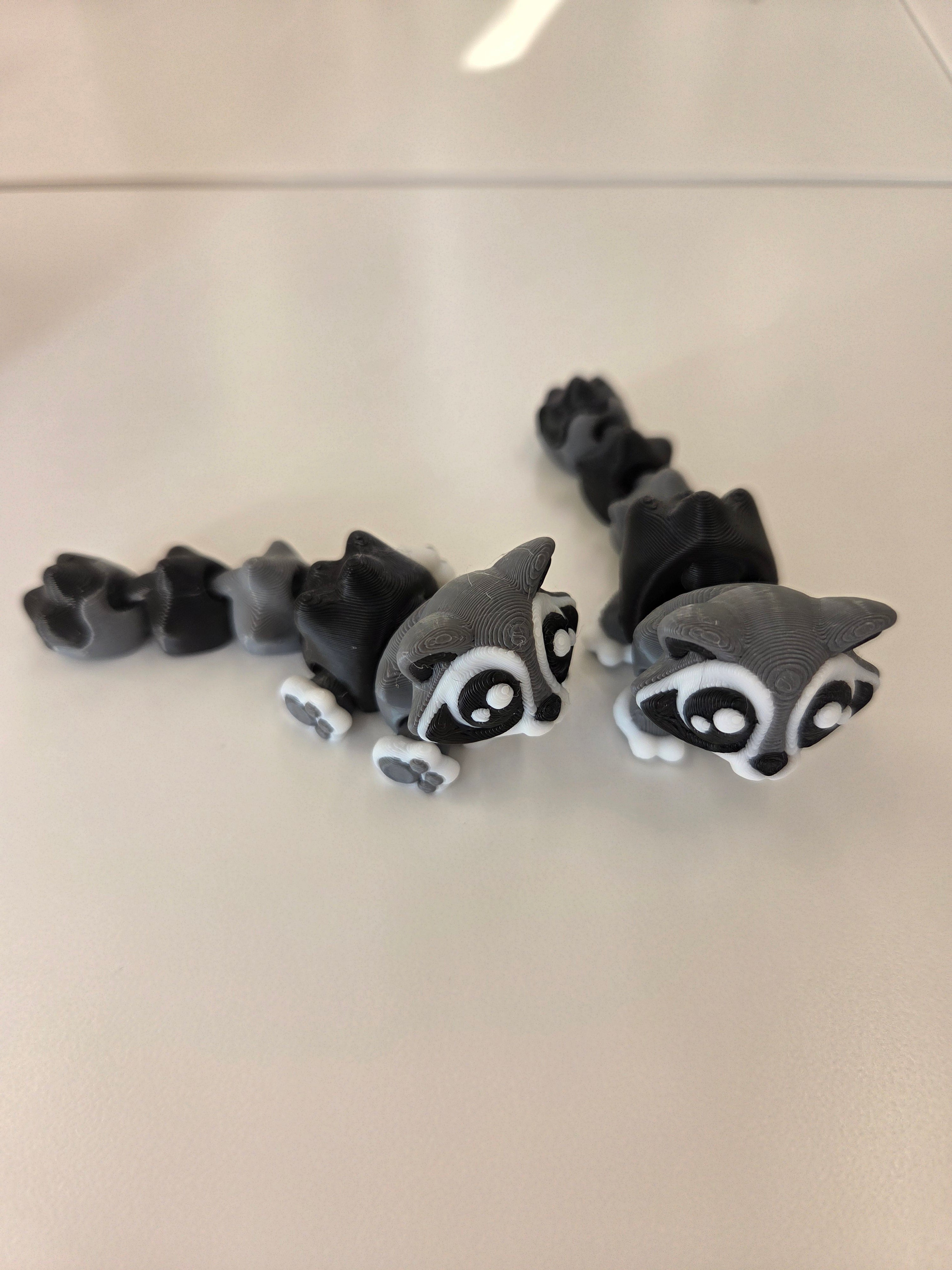 Racoon 3D Articulated