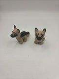 German Shepard-Hatchling