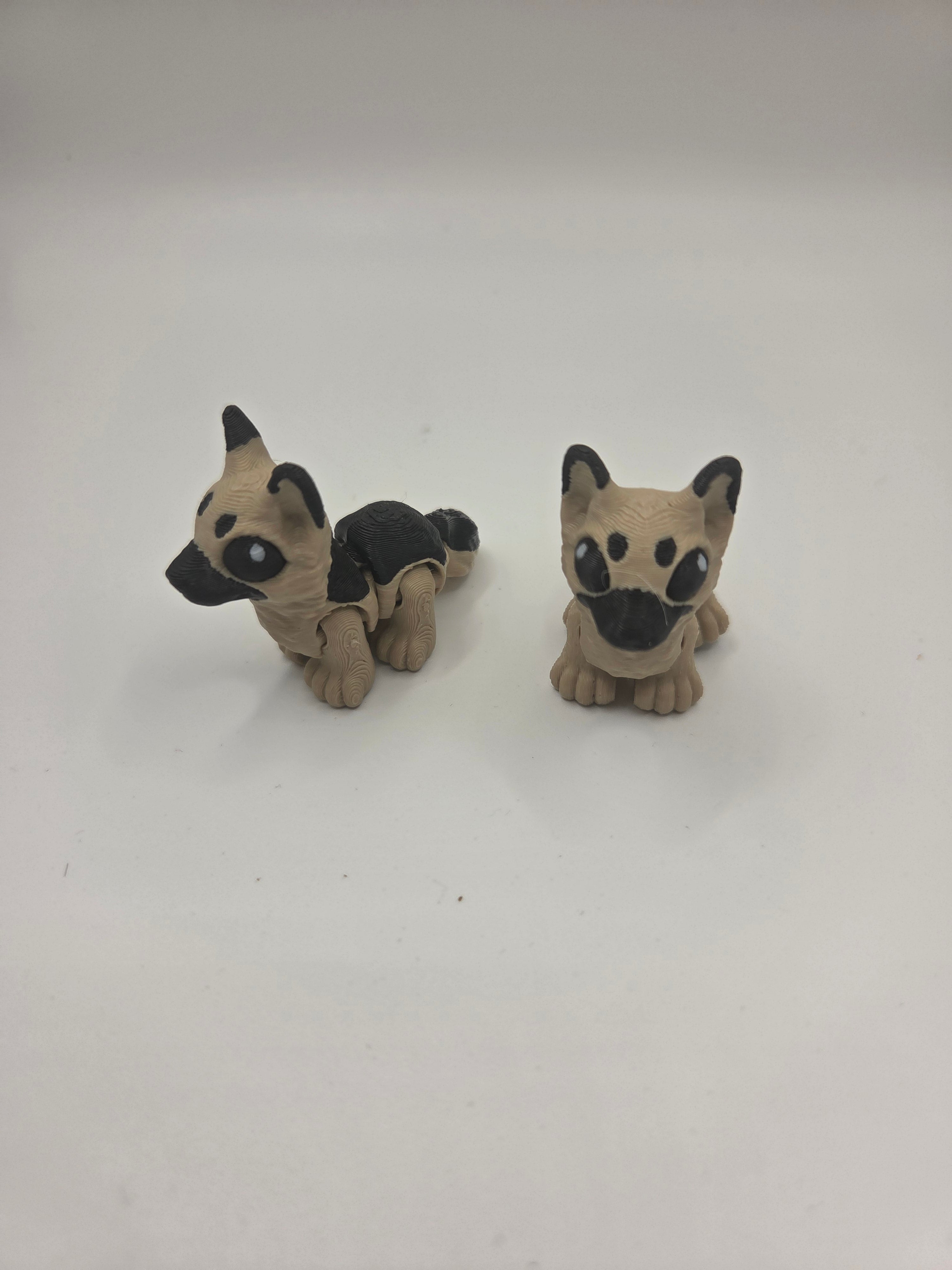 German Shepard-Hatchling
