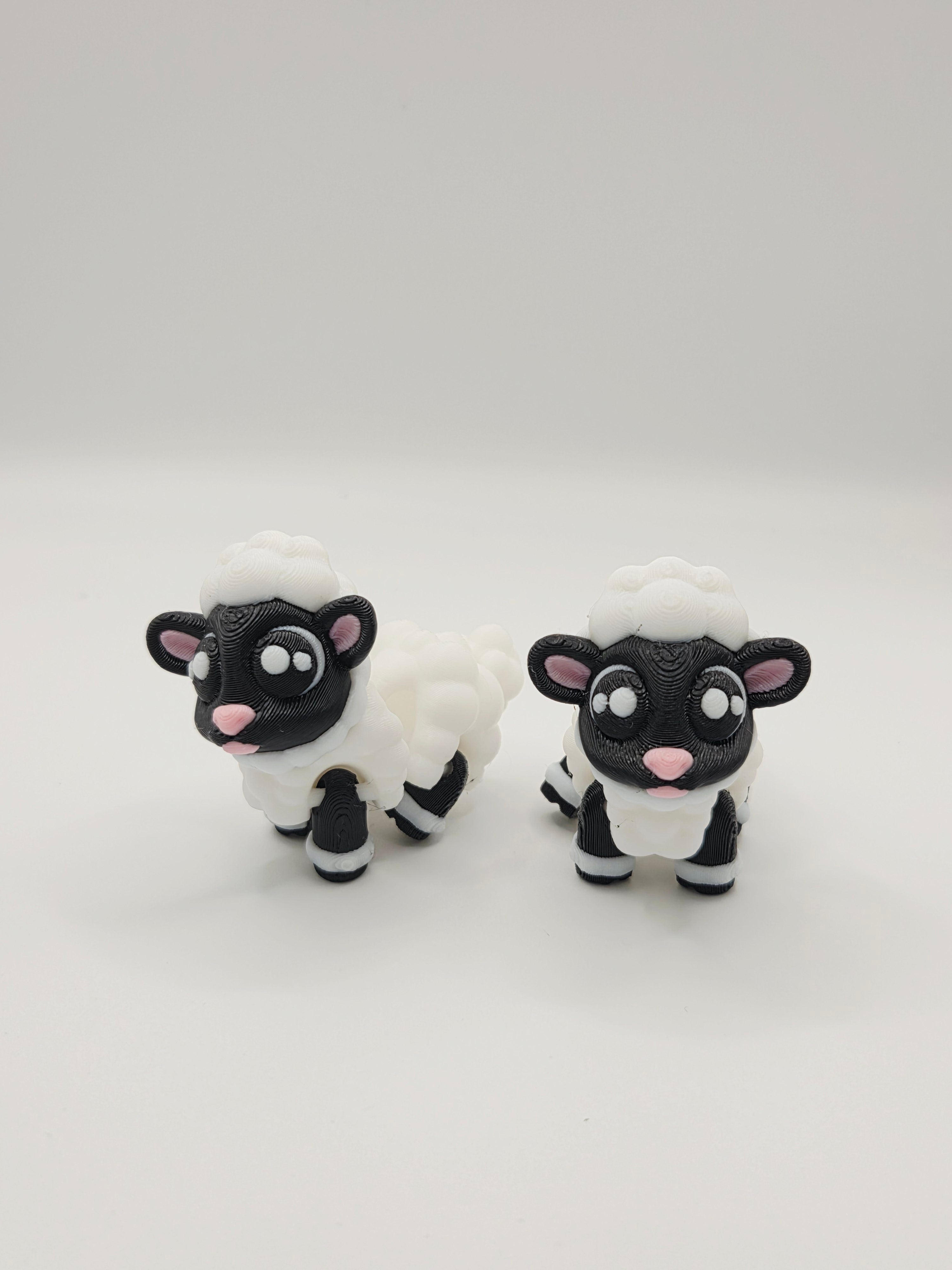 Mini Sheep