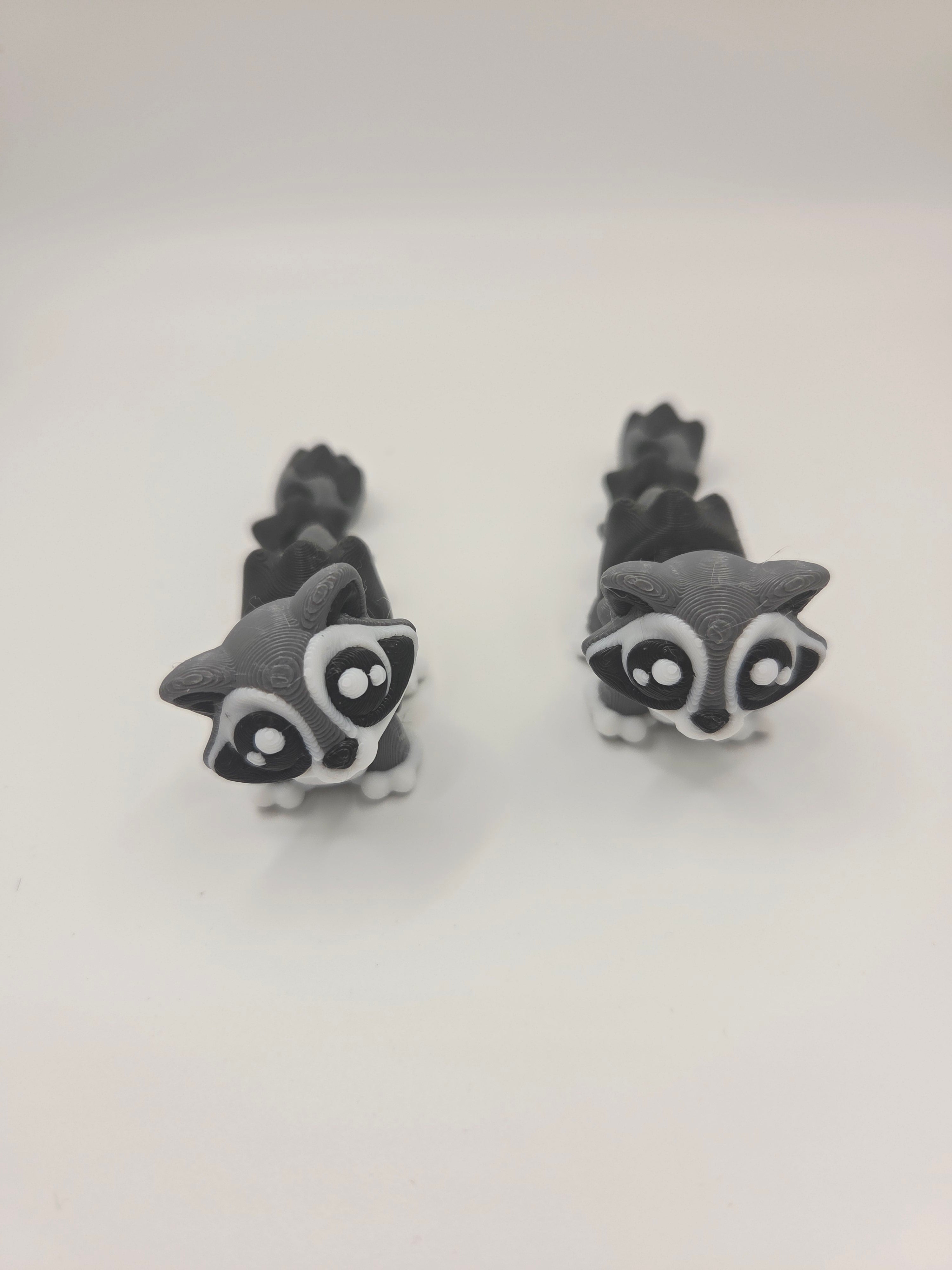 Mini Raccon