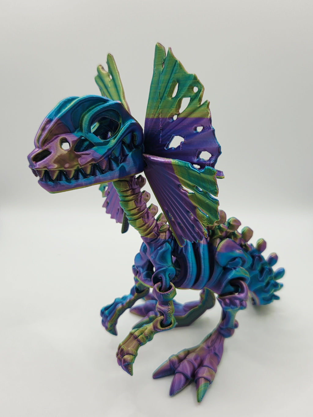 Skeleton Dilophosaurus 3D articulated