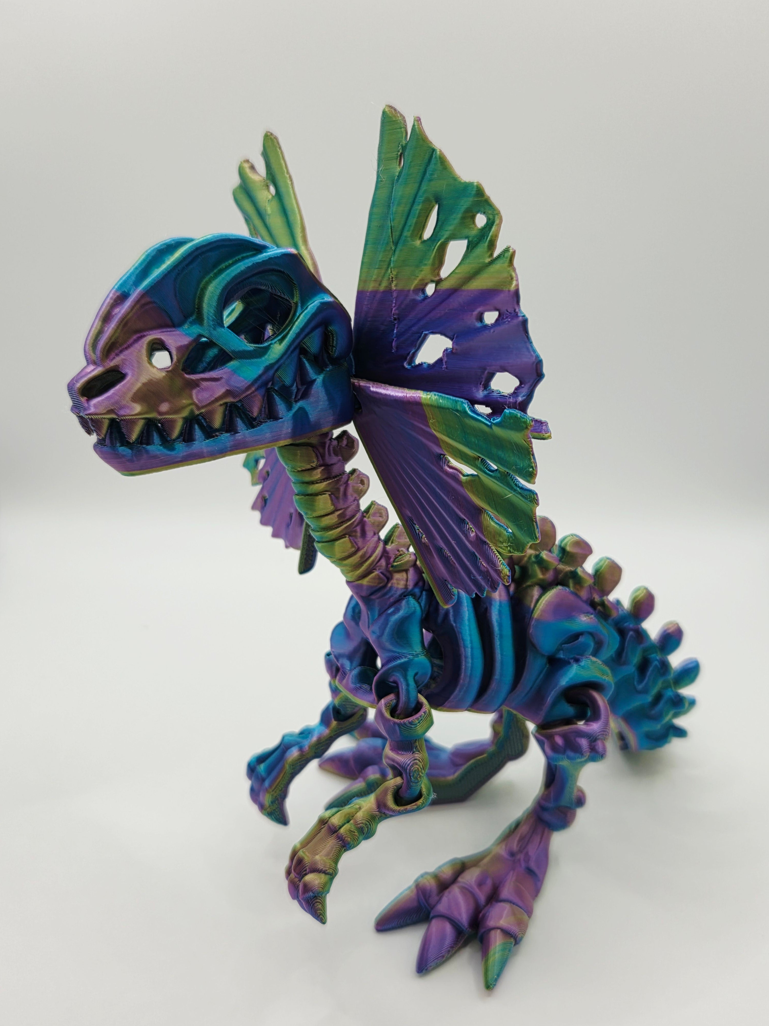 Skeleton Dilophosaurus 3D articulated