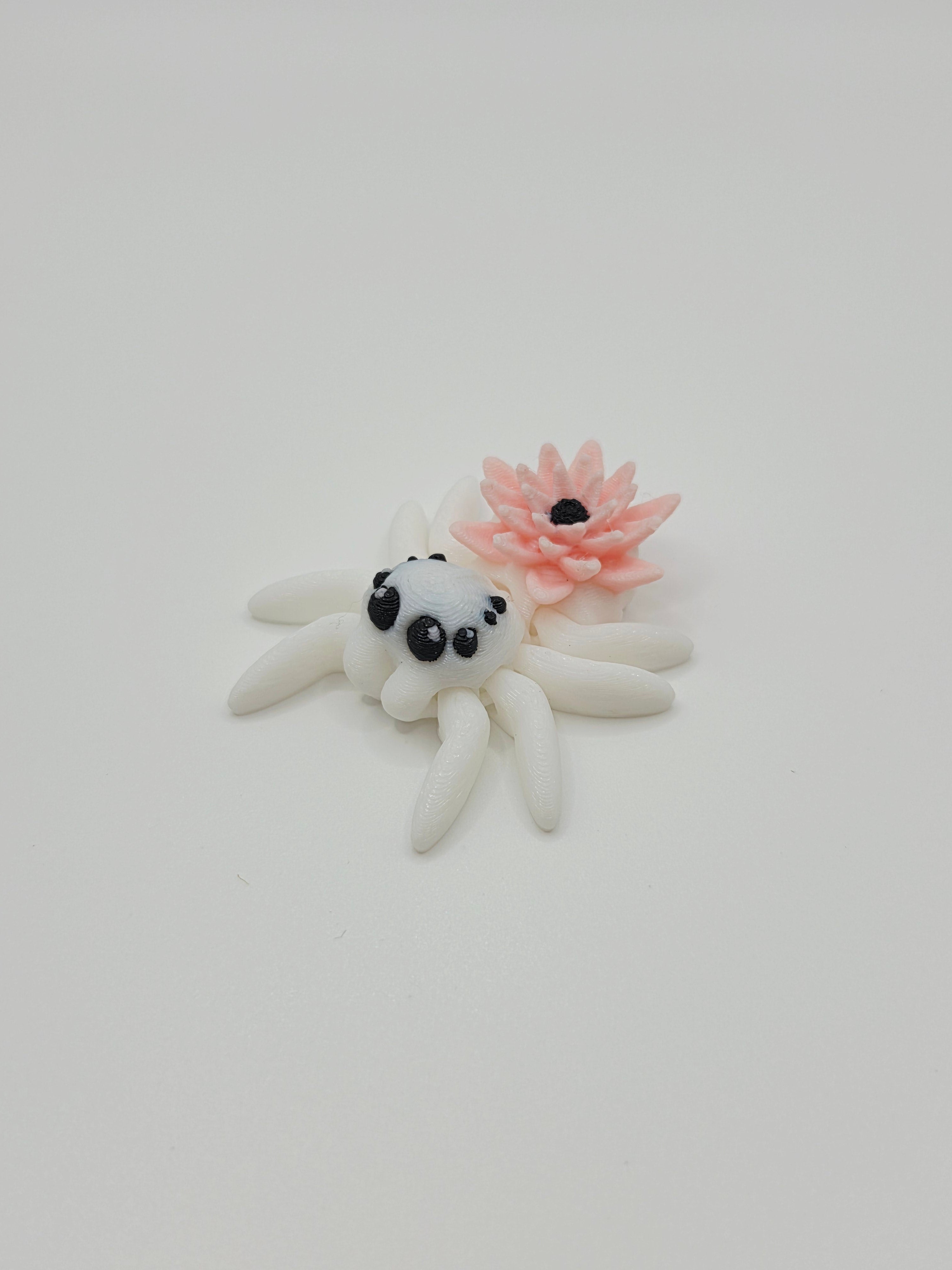 Tiny Donut Spider